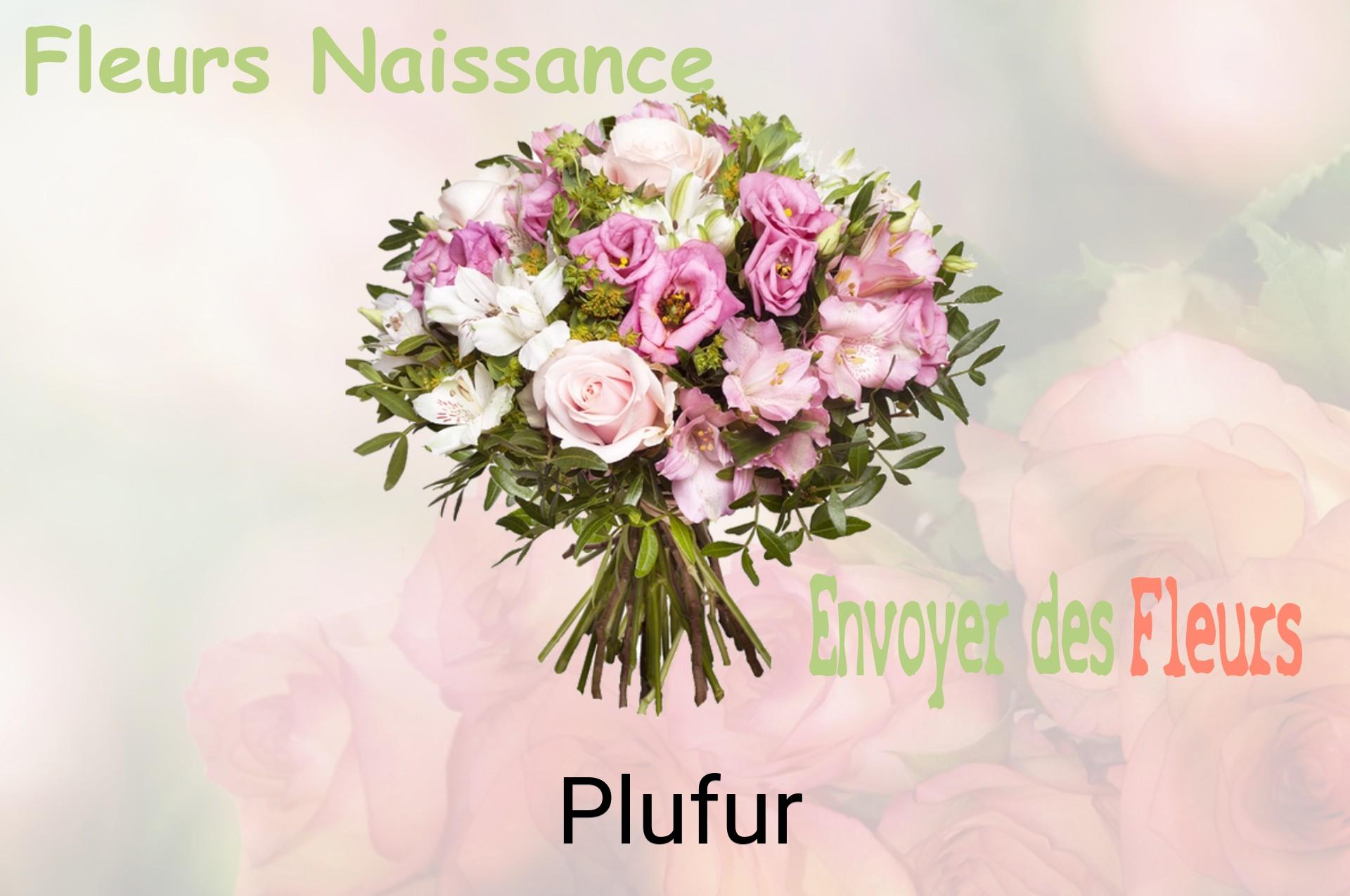 Bouquet de fleurs de naissance livré à Plufur